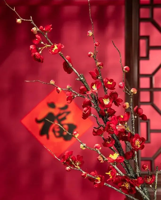 辭舊迎新，兔年納福，心懷熱愛，共赴山海！